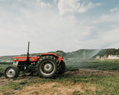 Product Range Expansion: Discover the Mg-Kali NOD Fertilizer