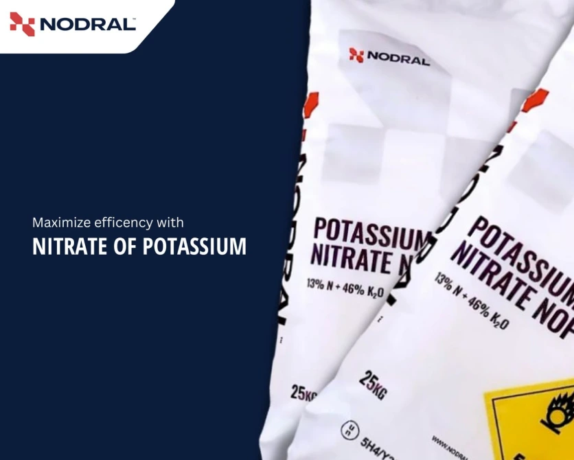 NOP Available for Loading