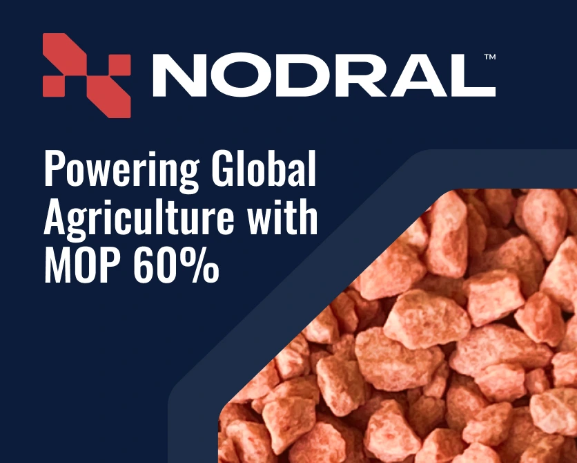 Potassium Salt (MOP 60%) in Africa