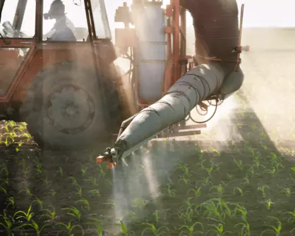 How Mineral Fertilizers Affect Crop Quality and Yield