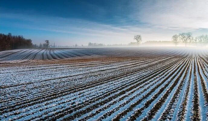 Winter Readiness: Optimizing Fertilization Strategies