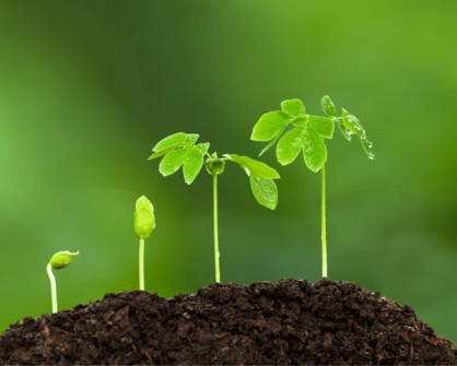 Nodral's Latest Fertilizer: NPK 16-16-16