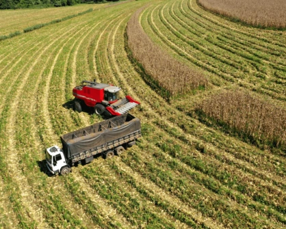 Challenges in the Fertilizer Distribution Industry for Foreign Markets