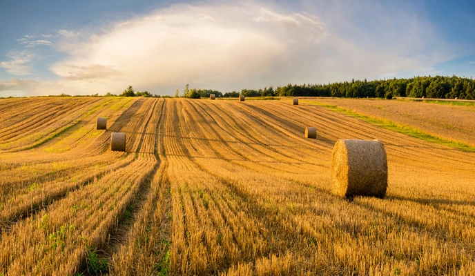 Building Soil Resilience for the Next Season