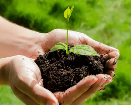 Fertilizers from Recycling: Are They Worth Using? Will They Become Popular?