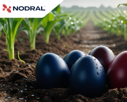 Happy Easter from the NODRAL Team