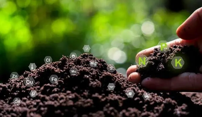 Autumn Agronomy: Preparing for the Next Growing Cycle