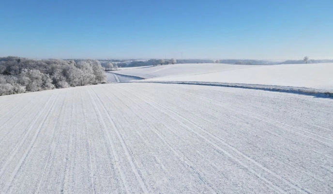 The Economics of Fertilizer Planning Before Spring