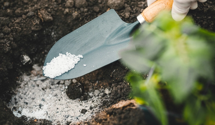 Autumn Agronomy: Preparing Your Fields for Success in the New Season